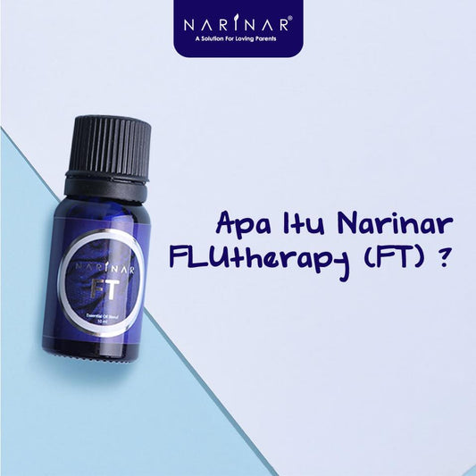 Apa Itu Narinar FT?