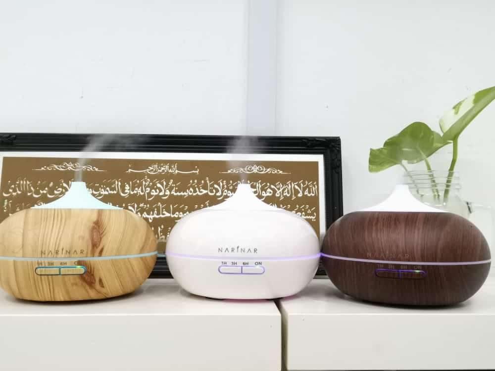 3 ASPEK PENTING DALAM AMALAN PENJAGAAN DIFFUSER – Narinar Malaysia